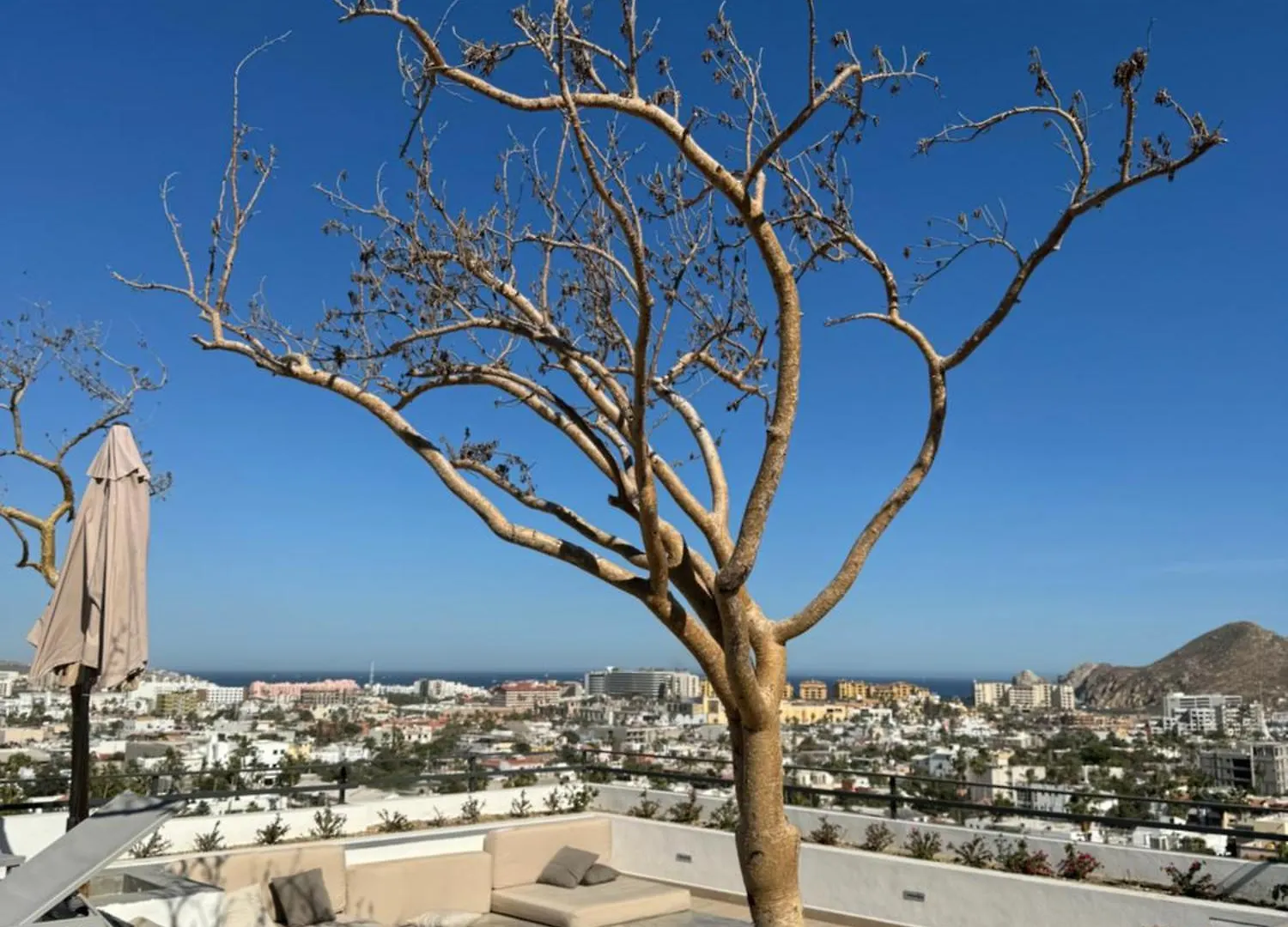 Live! Departamento Centrico Con Asombroso Rooftop Y Alberca كابو سان لوكاس